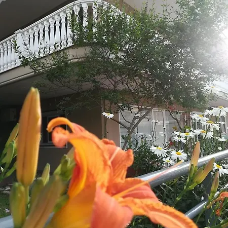 Aparthotel Frini 2 Paralia Katerinis